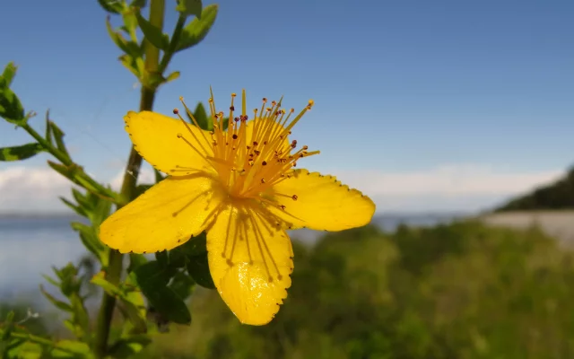 Zadrhávání a koktání při veřejném projevu. ...
