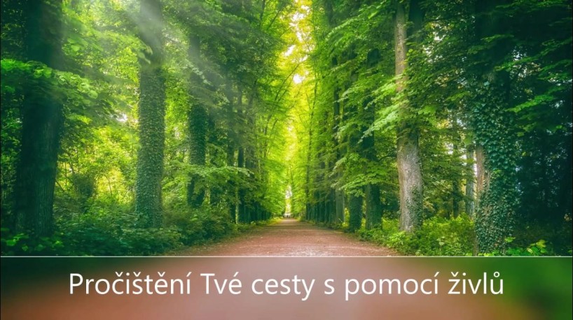 Ivona Antalii - Meditace k pročištění Tvé cesty ...