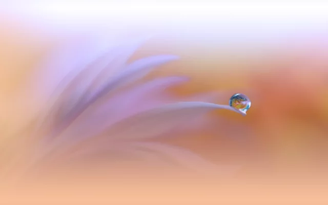 Nikdy nič nezmeníme,pokiaľ to sami nebudeme chcieť