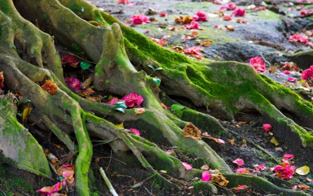 Jsi hysterka, nebo jen nejsi v Zemi?