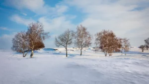 Ivona Antalii - Poselství bílého jelena /meditace/