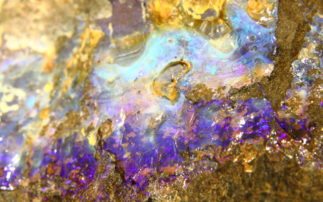 Veronika Wildová - Kapitola 5. - Porty a minerály ...