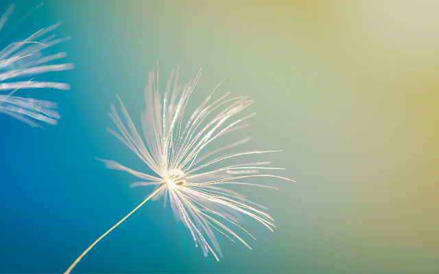 Veronika Wildová - Kapitola 13. - Plejády (z ...