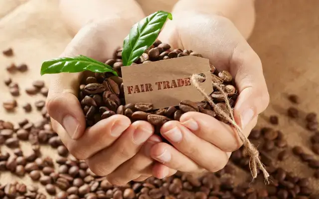 Fairbruary - měsíc Fairtrade nákupů