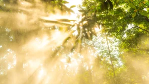 Ivona Antalii - Meditace se světelnými paprsky