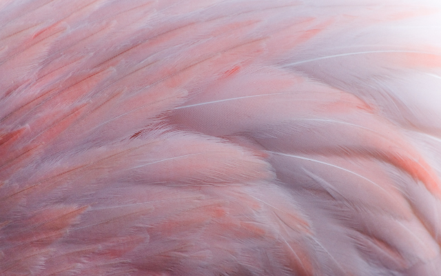 Jako laskaví a milující lidé máte svá srdce ...