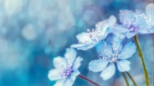 Proč si Robin Čumpelík vybral BEWIT? Nebo si BEWIT ...