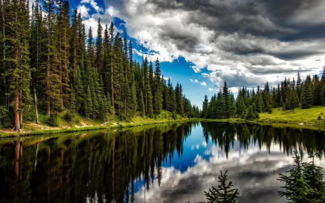 20. března - Světový den obnovy divočiny