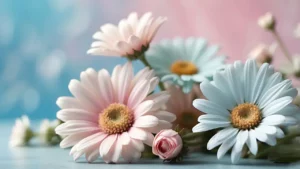 Ivona Antalii Jarní rovnodennost 2026 🌷 Ivona Antalii Jarní rovnodennost 2026 🌷