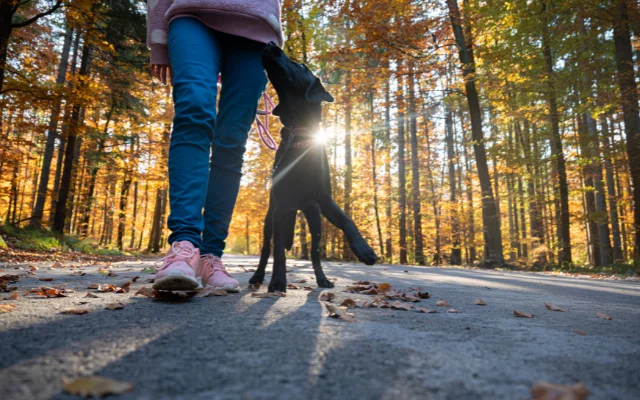 Jak posílit imunitní systém psychikou? Dávkujte ...
