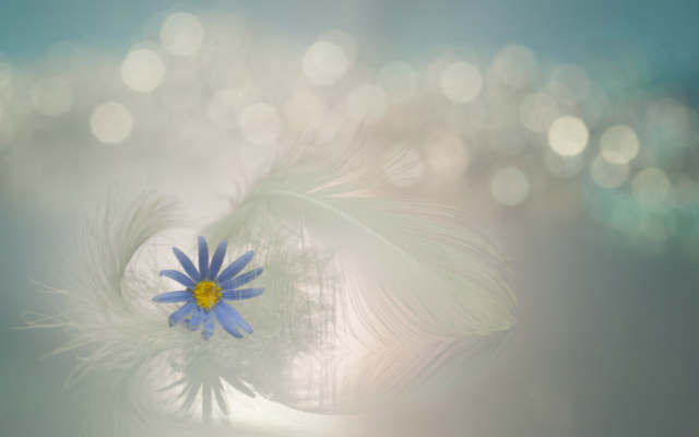 Být tím, kým jste sem přišli být Být tím, kým jste sem přišli být