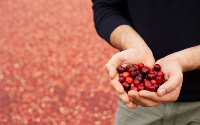 Hojnost se skrývá uvnitř