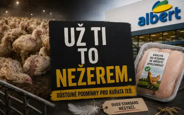 „Už ti to nežerem.“ Čermák, Jandová nebo ...