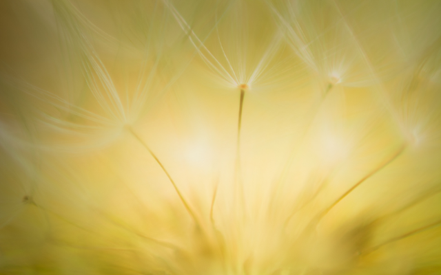 Plamen vašeho vnitřního světla