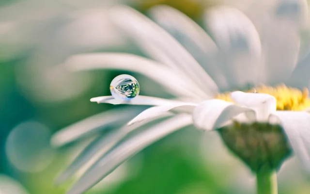 Prečo niekto vníma svet pozitívne, zatiaľ, čo ...