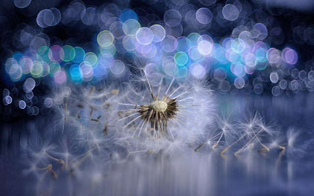 Veronika Wildová - Kapitola 9. - Příšerný život ...