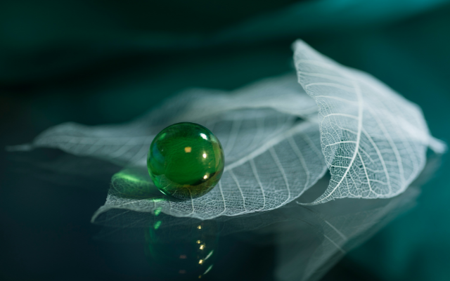 Veronika Wildová - Kapitola 8. - Pozemské tělo (z ...