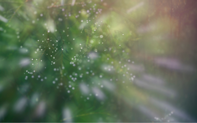 Veronika Wildová - Kapitola 4. - Hra o moc (z ...