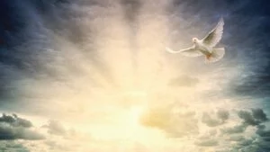 Meditace za lásku pro svět