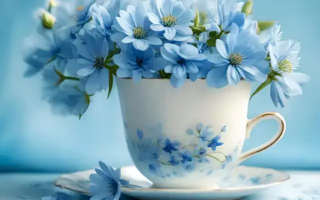 Čajová směs pro potěchu srdce i ducha