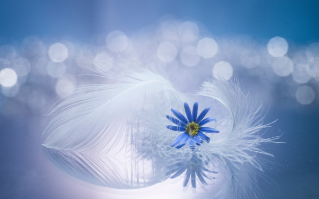 Veronika Wildová - Kapitola 10. - Muaru (z Ellori, ...