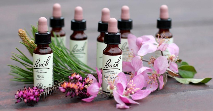 Bachovy Esence: Přírodní Podpora pro duševní ...