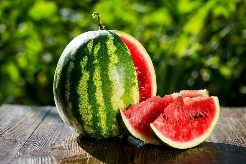 Jak si vypěstovat melouny! Jak si vypěstovat melouny!