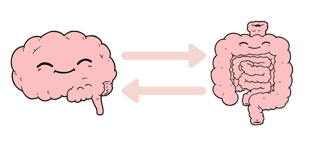 Střevní mikrobiom - Tajný Druhý Mozek a Jeho Vliv ...