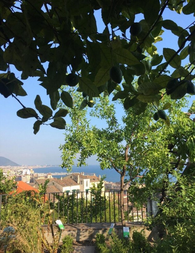 Salerno