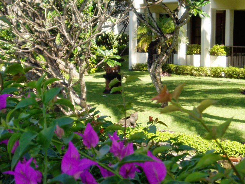 Přece nebudeš někde mýt „záchod“