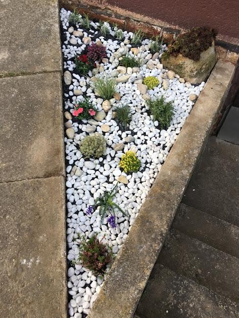 Jak jsem rozhodla udělat skalku