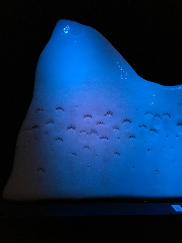 Týmová spolupráce