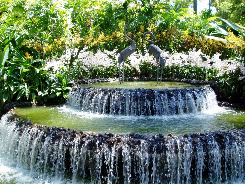 Každý je povinen ctít svobodné rozhodnutí ... Každý je povinen ctít svobodné rozhodnutí ...