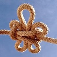 Pravda, pocity a cloumající emoce Pravda, pocity a cloumající emoce