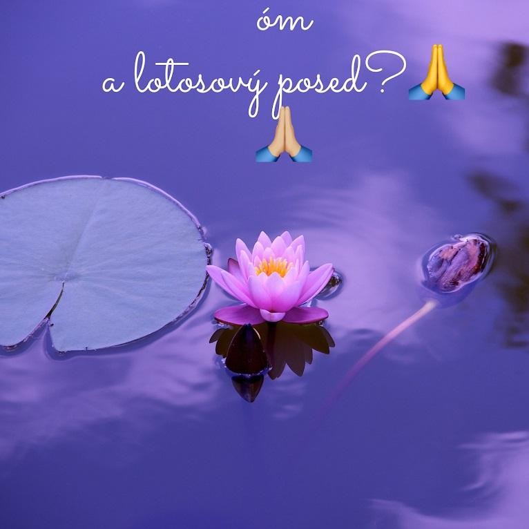 Meditace není jen sezení v lotosovém květu a ...