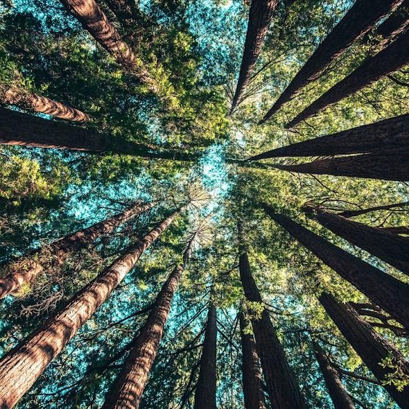 Zachraňme planetu anebo pokrok a matka příroda Zachraňme planetu anebo pokrok a matka příroda