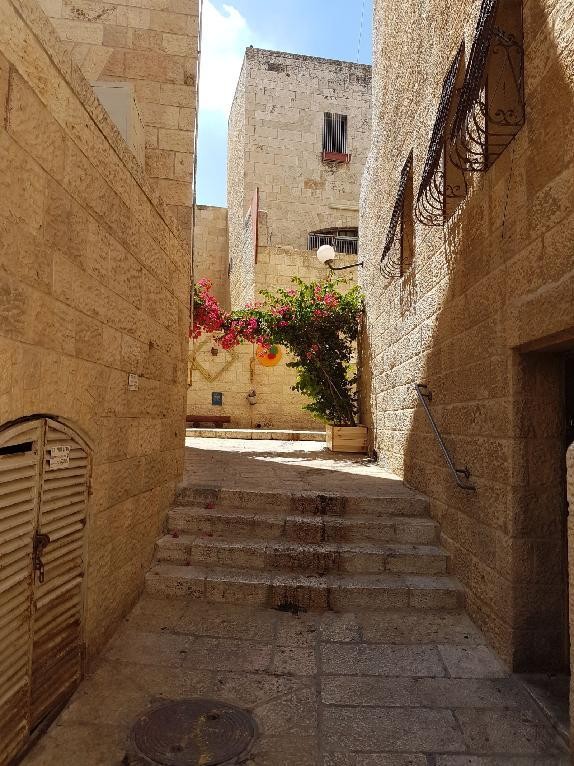 Izrael: jógová mozaika ze Svaté Země - ... Izrael: jógová mozaika ze Svaté Země - ...