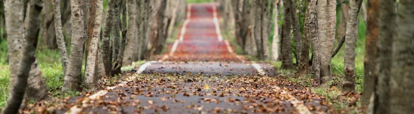 Ako je možné nájsť poslanie a svoju cestu? Ako je možné nájsť poslanie a svoju cestu?