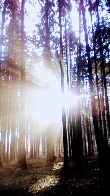 BOHATSTVÍ JE DAR 🙏