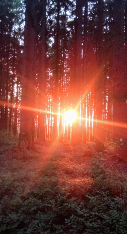 BOD ZMĚNY - BOD ZVRATU