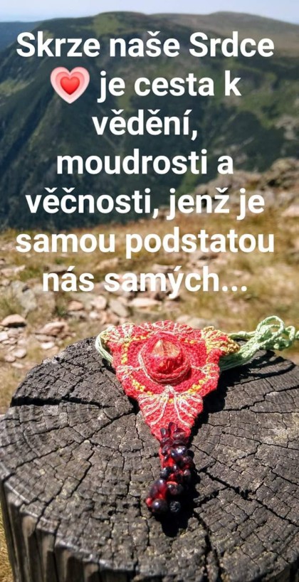 MOUDROST SRDCE 💖