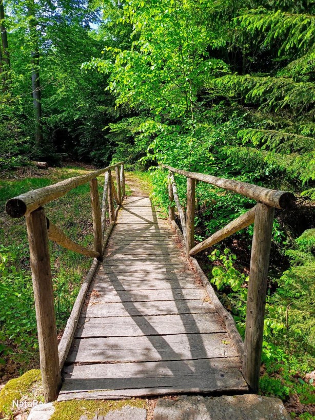 VESMÍR SI PŘEJE...