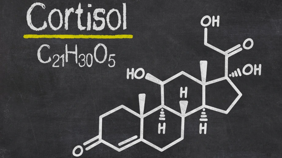 Stres a kortizol 