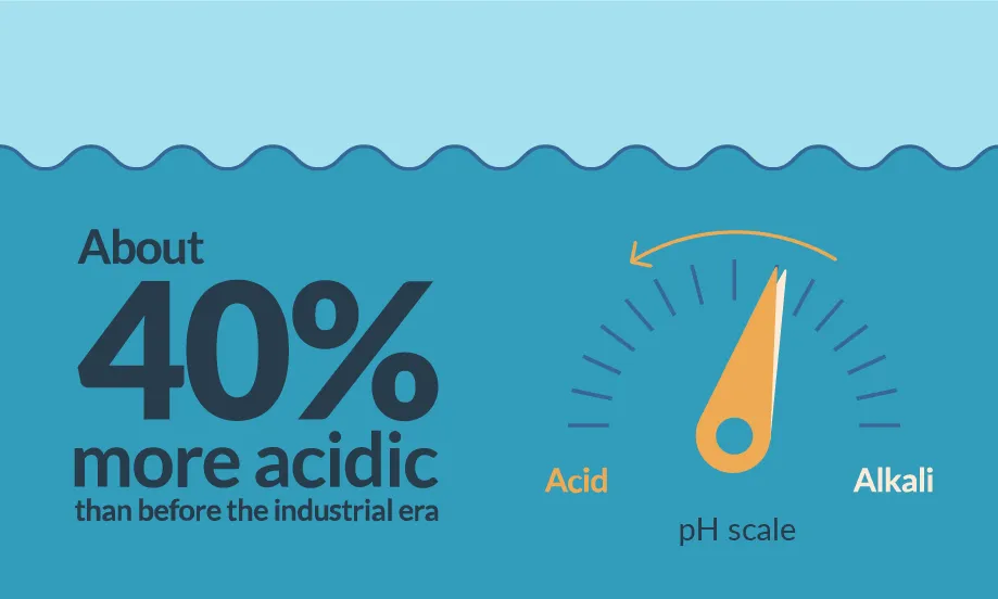 Dnešní největší hrozby pro oceány 