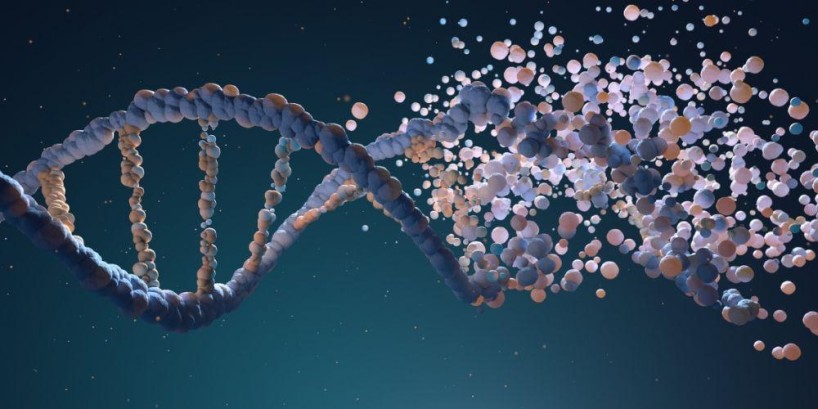 Epigenetika výživy - Jídlo jako přepínač genů