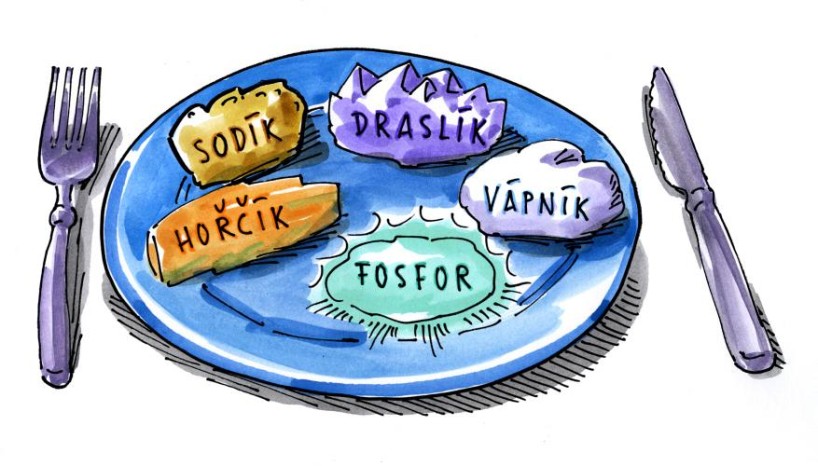 Co jsou elektrolyty?