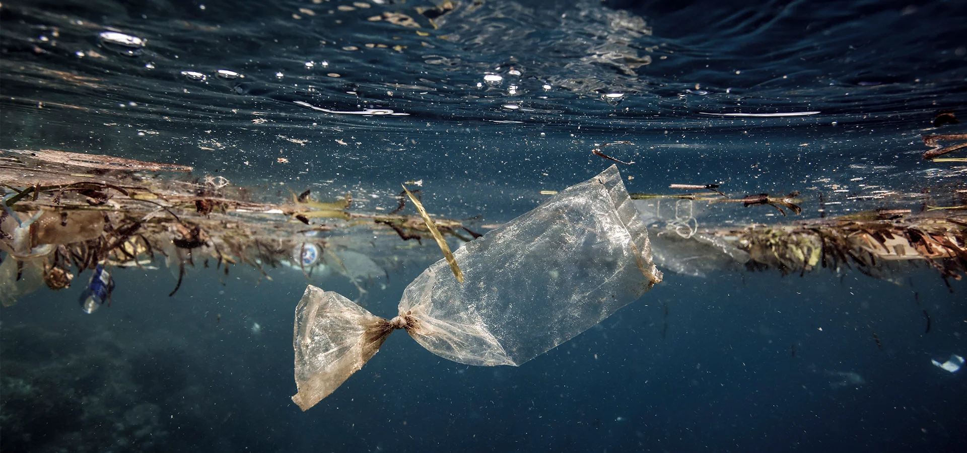 Mikroplasty ve vodách Mikroplasty ve vodách