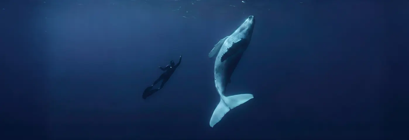 Společně pro oceán