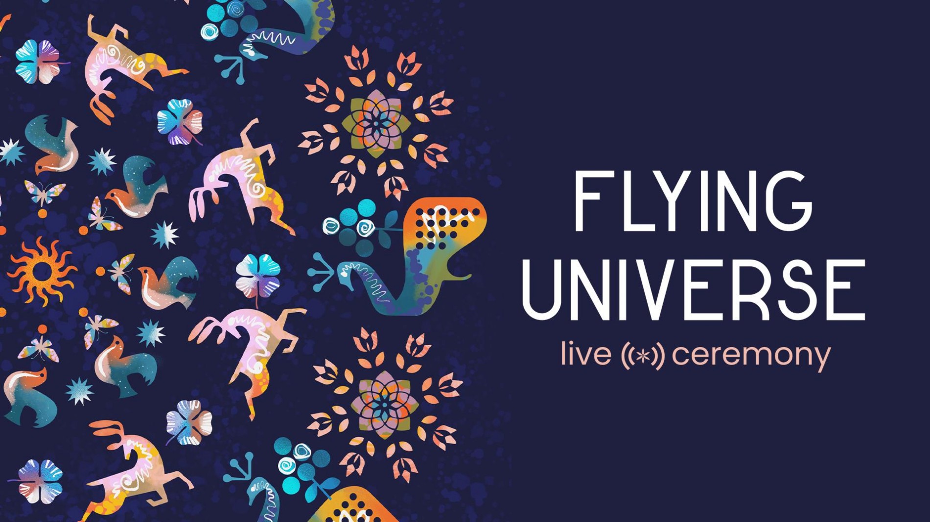 Flying Universe 