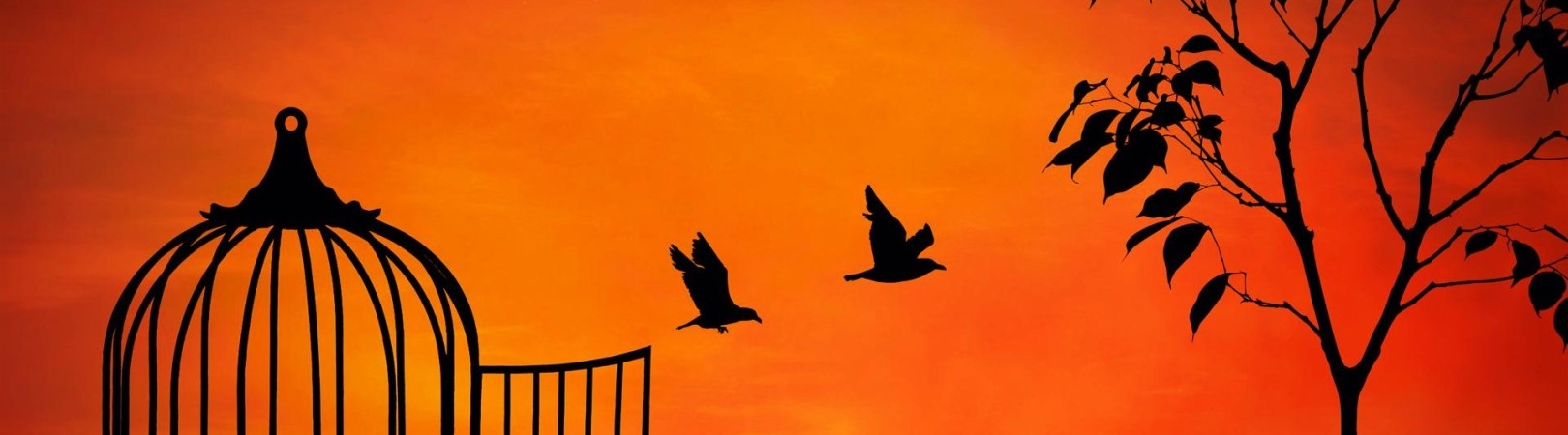 Investice za odměnu